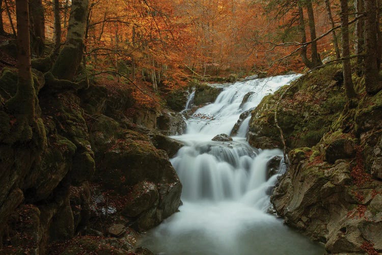 Waterfall In Autumn