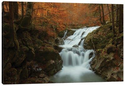 Waterfall In Autumn Canvas Art Print - Annabelle Chabert