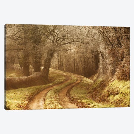 Frosted Path Canvas Print #AAB83} by Annabelle Chabert Canvas Art