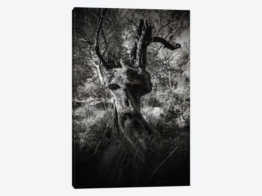 The Ent by Annabelle Chabert 1-piece Art Print