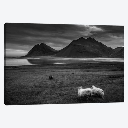 Black And White Landscape - Iceland Canvas Print #AAB90} by Annabelle Chabert Art Print