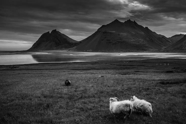 Black And White Landscape - Iceland