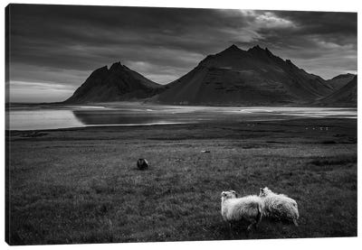 Black And White Landscape - Iceland Canvas Art Print - Annabelle Chabert