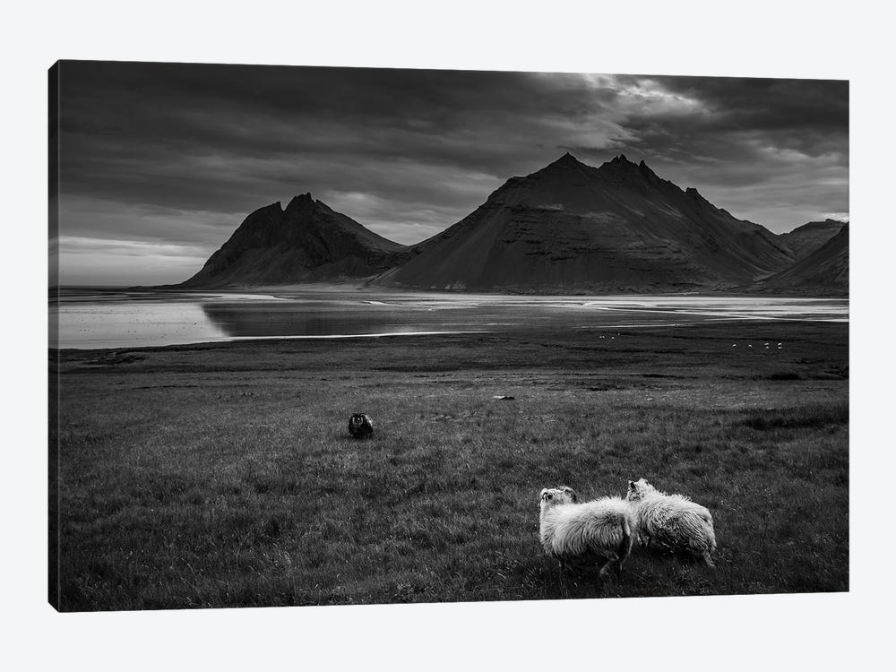 Black And White Landscape - Iceland by Annabelle Chabert 1-piece Canvas Wall Art