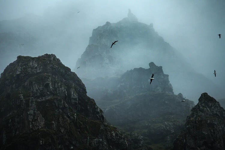 Ghostly Birds - Iceland