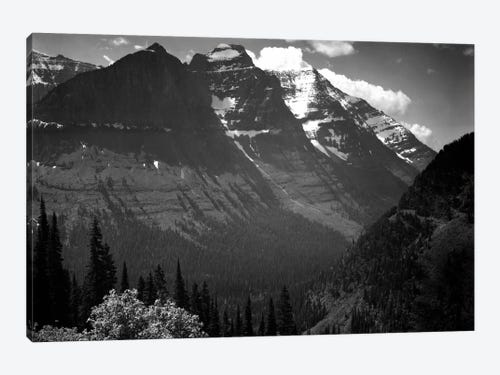 Ansel Adams B/W Photo Leaves Glacier National Park Wall Picture 8x10 Art Print 