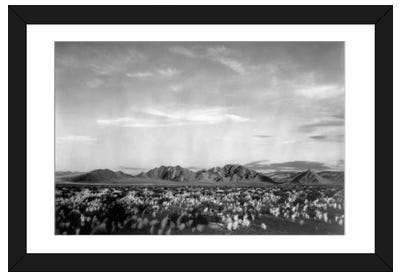 Near Death Valley National Monument Paper Art Print - Ansel Adams