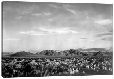 Near Death Valley National Monument Canvas Art Print - Death Valley National Park Art