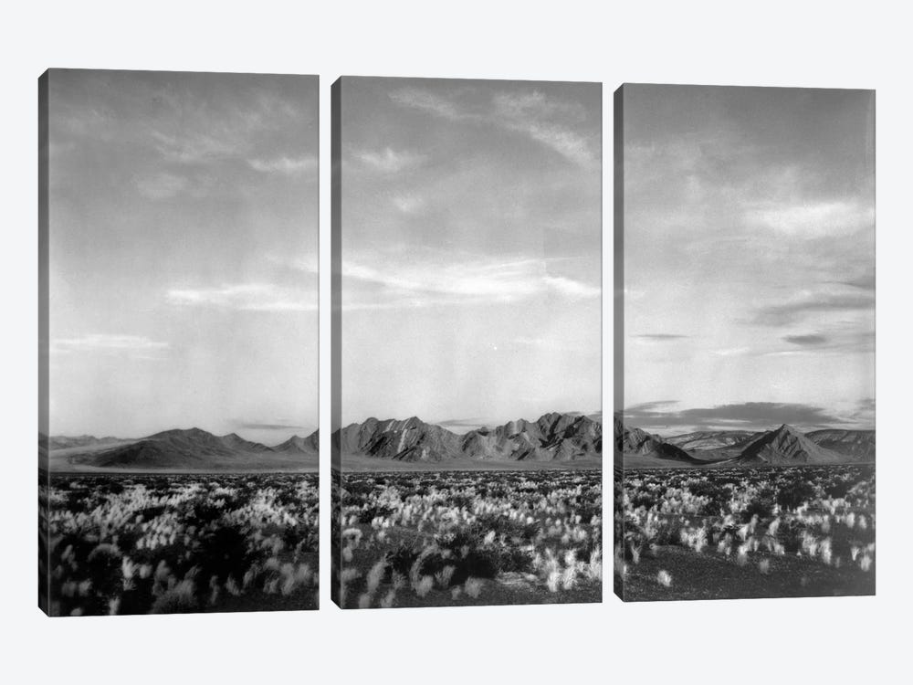 Near Death Valley National Monument by Ansel Adams 3-piece Canvas Artwork