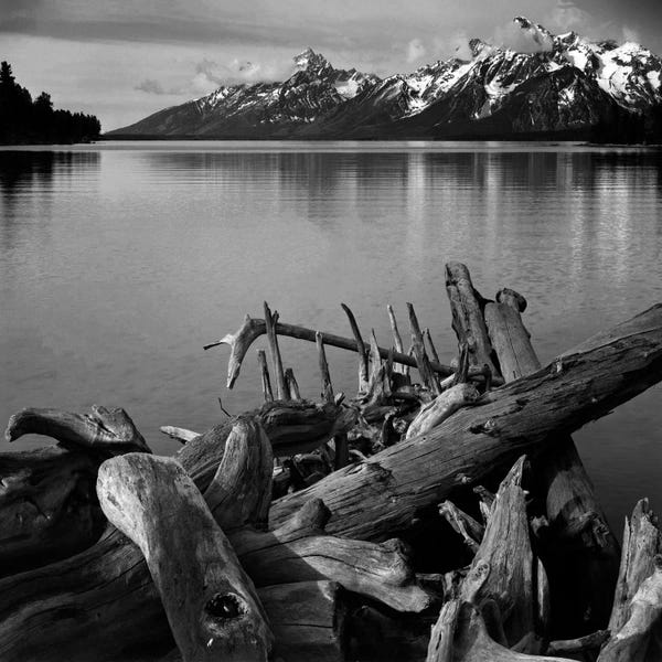 Black & White Scenic Art: Captionless by Ansel Adams