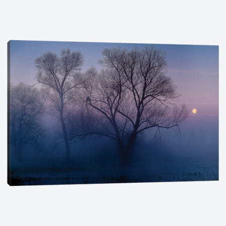 Another New Day Canvas Print #AAG7} by Andreas Agazzi Canvas Print