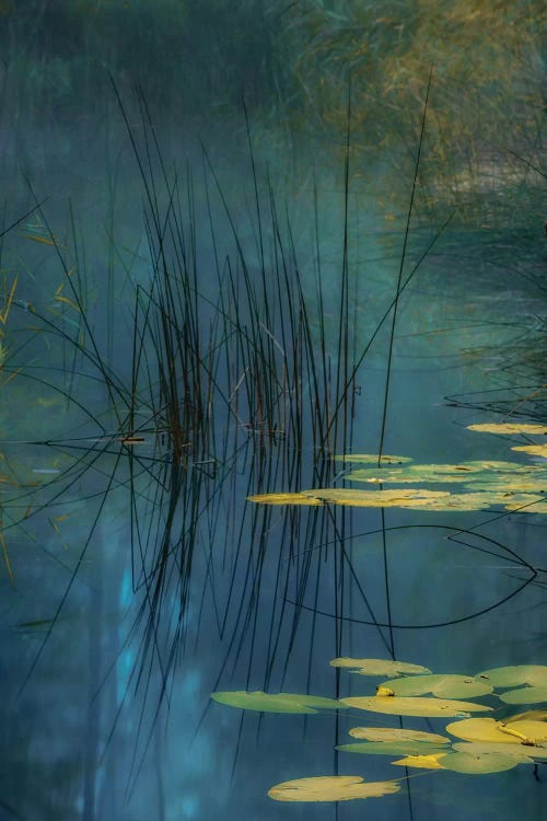 Aqua by Andreas Agazzi wall art