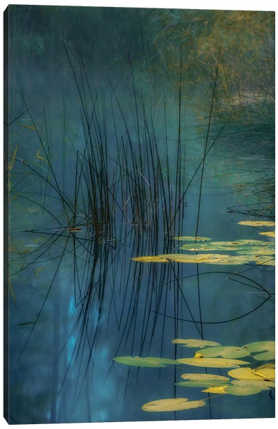 Aqua Canvas Art Print - Zen Master