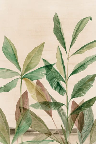 Aria K: Colourful Tropics I by Aria K