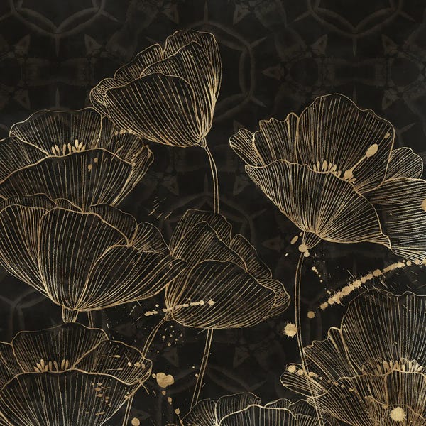 Aria K: Midnight Blossoms II by Aria K