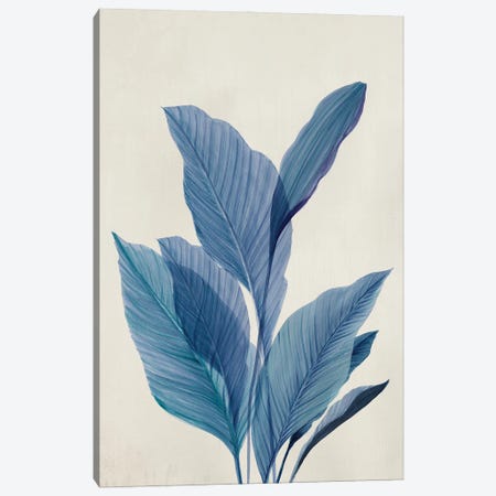 Blue Palm Leaves I Canvas Print #AAK9} by Aria K Canvas Artwork