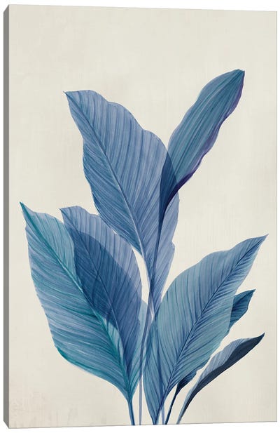 Blue Palm Leaves I Canvas Art Print