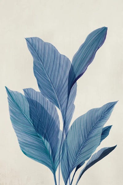 Tropical Décor: Blue Palm Leaves I by Aria K