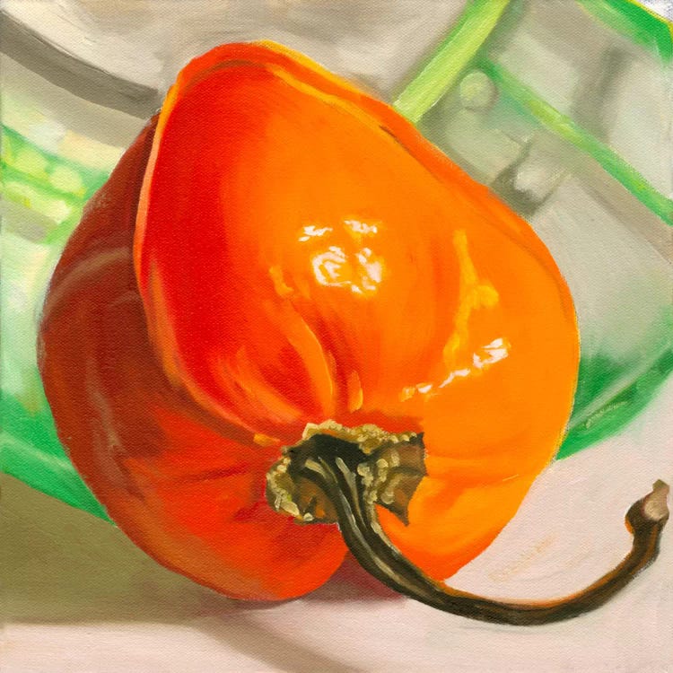 Orange Habanero by Andrea Alvin wall art