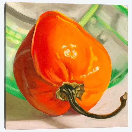 Orange Habanero Canvas Print #AAL16} by Andrea Alvin Canvas Art