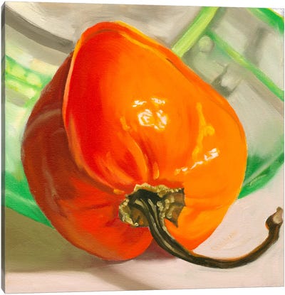 Orange Habanero Canvas Art Print - Minimalist Painting