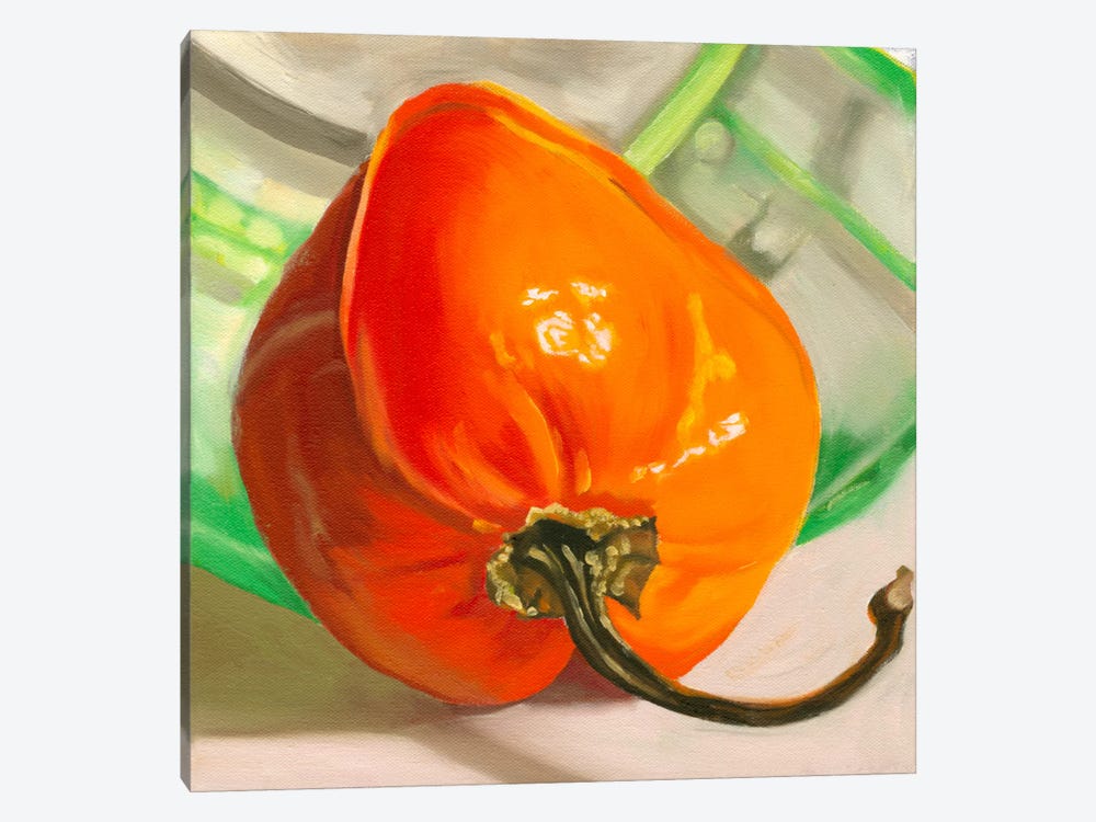 Orange Habanero by Andrea Alvin 1-piece Canvas Art Print