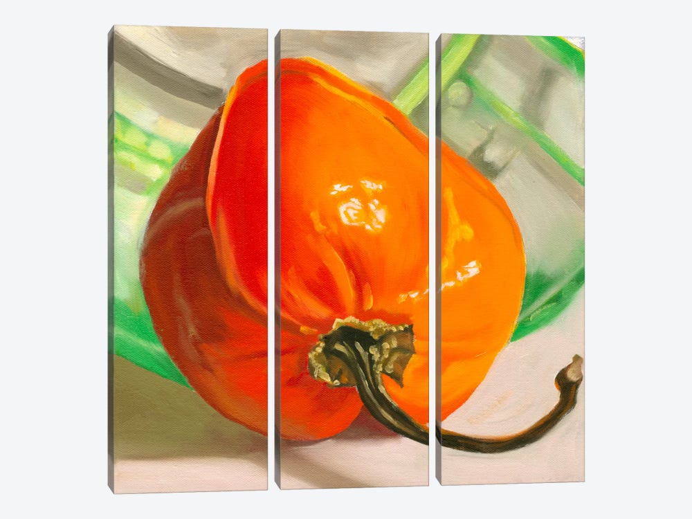 Orange Habanero by Andrea Alvin 3-piece Canvas Print