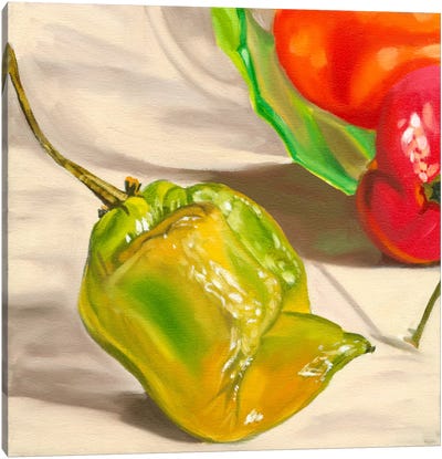 Yellow Habanero Canvas Art Print - Vegetable Art