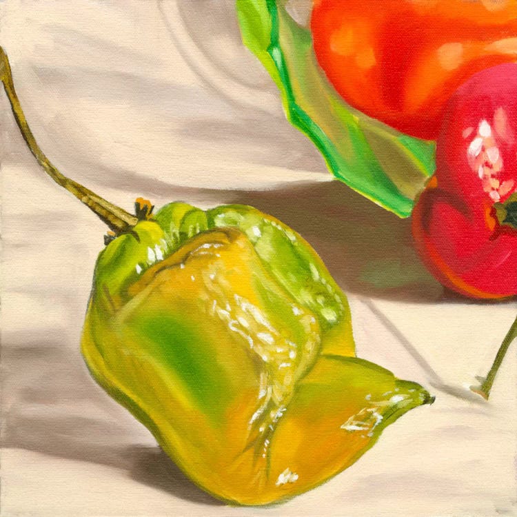 Yellow Habanero by Andrea Alvin wall art