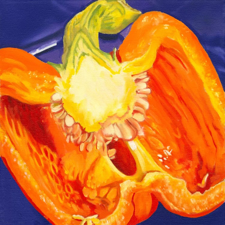 Cut Pepper by Andrea Alvin wall art