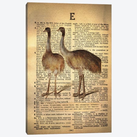 E - Emu Canvas Print #AALP10} by 5by5collective Canvas Art Print