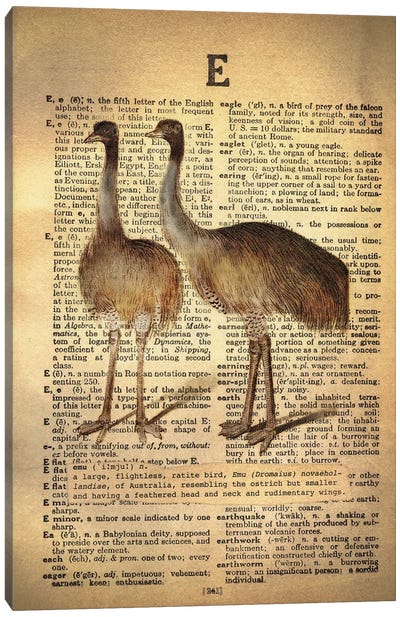 E - Emu Canvas Art Print - Alphabetical Animalia