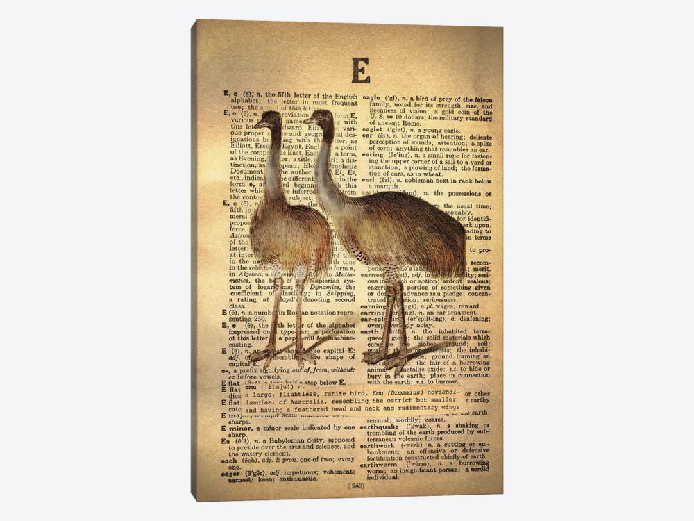 E - Emu by 5by5collective 1-piece Art Print