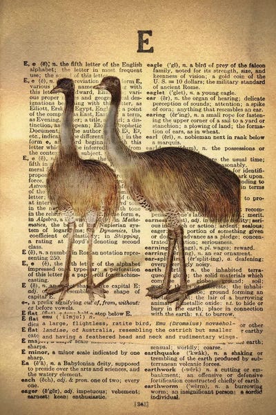 Emus: E - Emu by 5by5collective