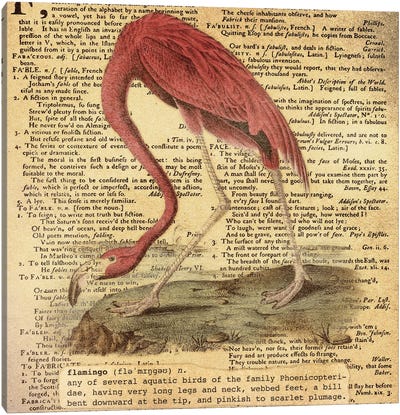 F - Flamingo Square Canvas Art Print - Alphabetical Animalia