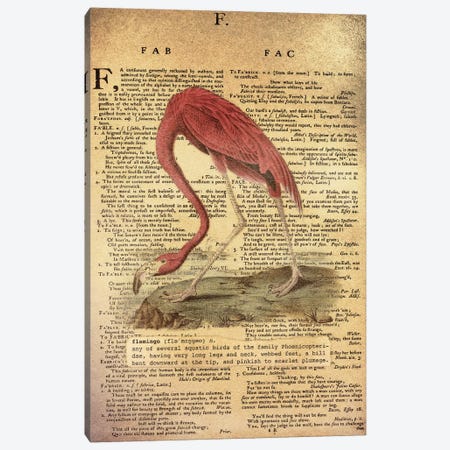 F - Flamingo Canvas Print #AALP12} by 5by5collective Art Print