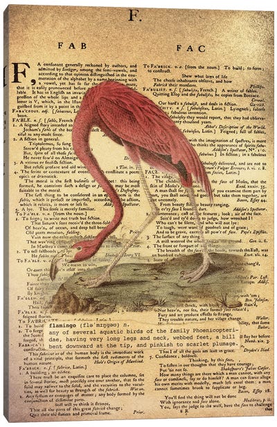 F - Flamingo Canvas Art Print - Alphabetical Animalia