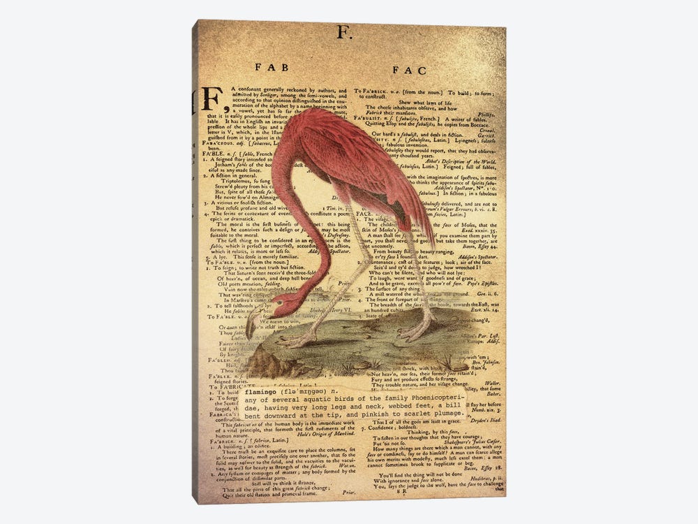 F - Flamingo by 5by5collective 1-piece Canvas Print