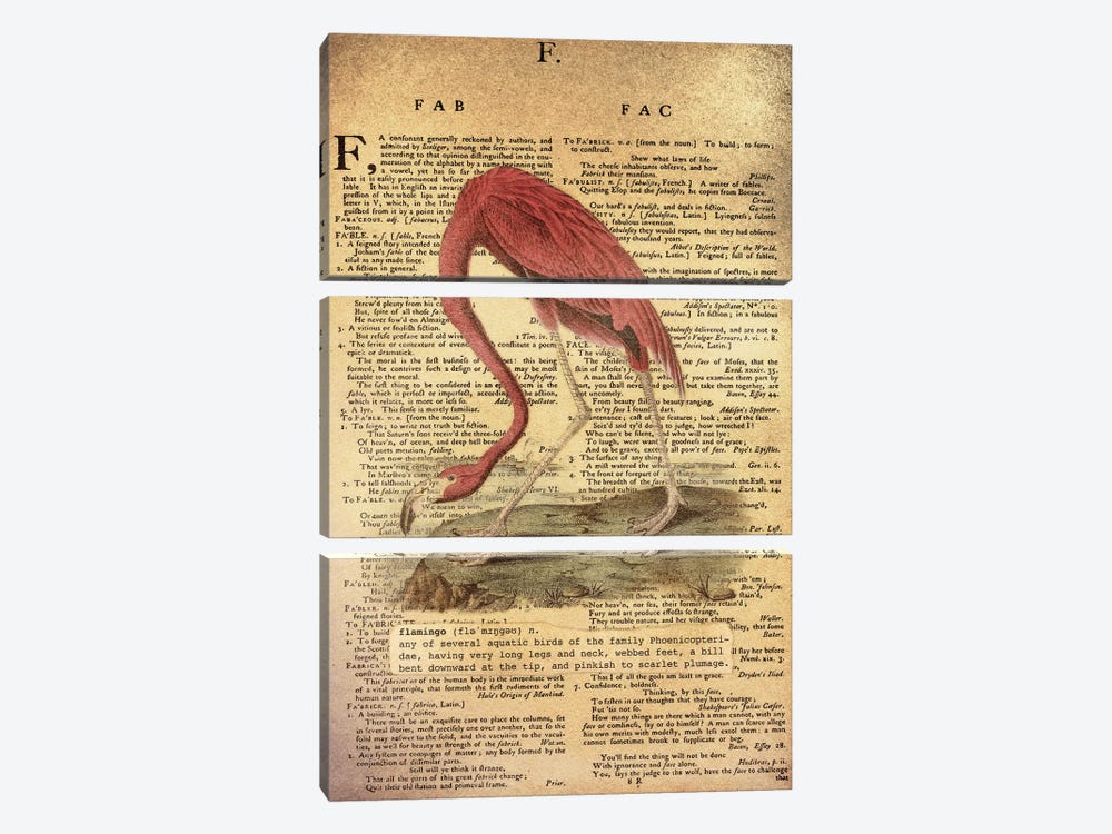 F - Flamingo by 5by5collective 3-piece Art Print