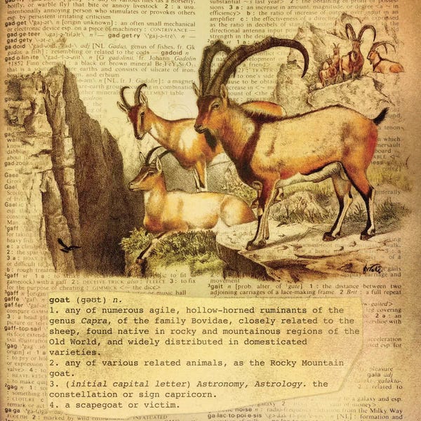 Goats: G - Goat Square by 5by5collective