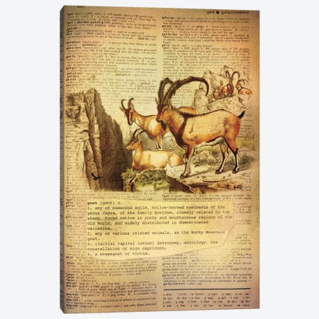 G - Goat Canvas Print #AALP14} by 5by5collective Canvas Wall Art