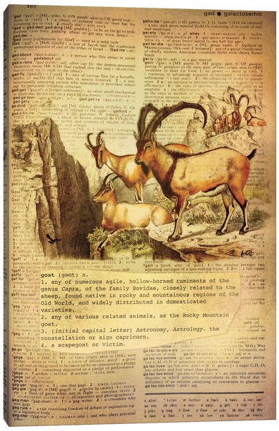 G - Goat Canvas Art Print - Animal Illustrations