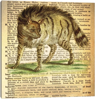 H - Hyena Square Canvas Art Print - Alphabetical Animalia