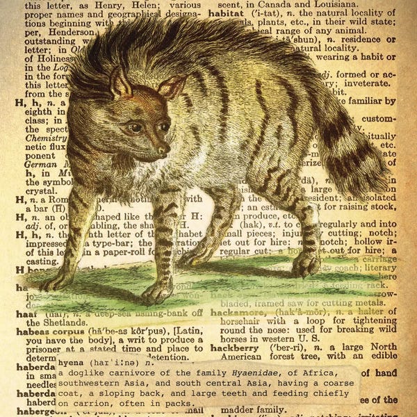 Hyenas: H - Hyena Square by 5by5collective