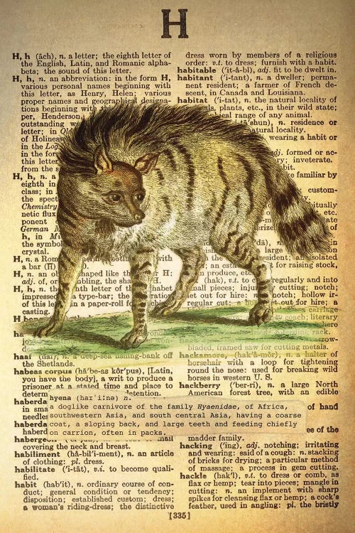 H - Hyena by 5by5collective wall art