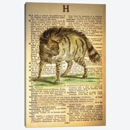 H - Hyena Canvas Print #AALP16} by 5by5collective Canvas Wall Art