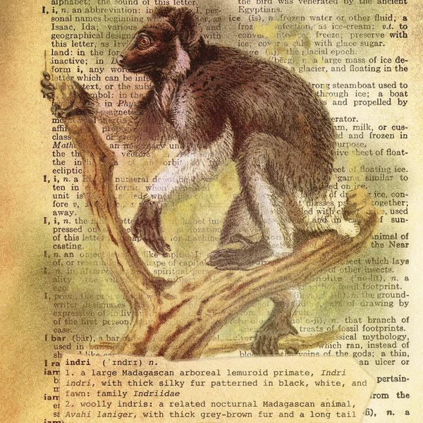 The Letter I: I - Indri Square by 5by5collective