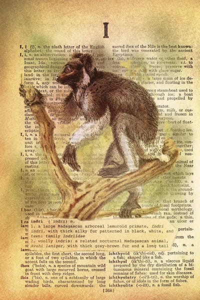 The Letter I: I - Indri by 5by5collective