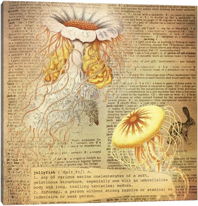 J - Jellyfish Square Canvas Art Print - Alphabetical Animalia