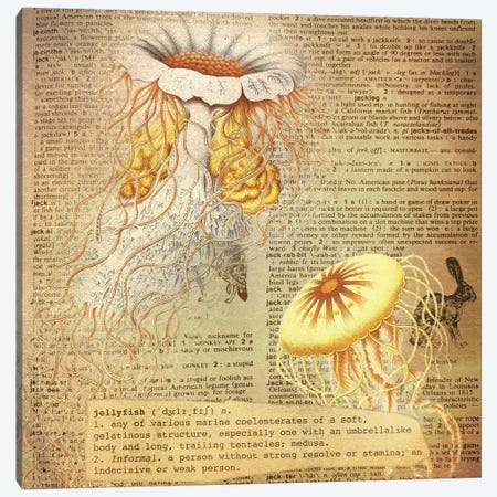 J - Jellyfish Square Canvas Print #AALP19} by 5by5collective Art Print